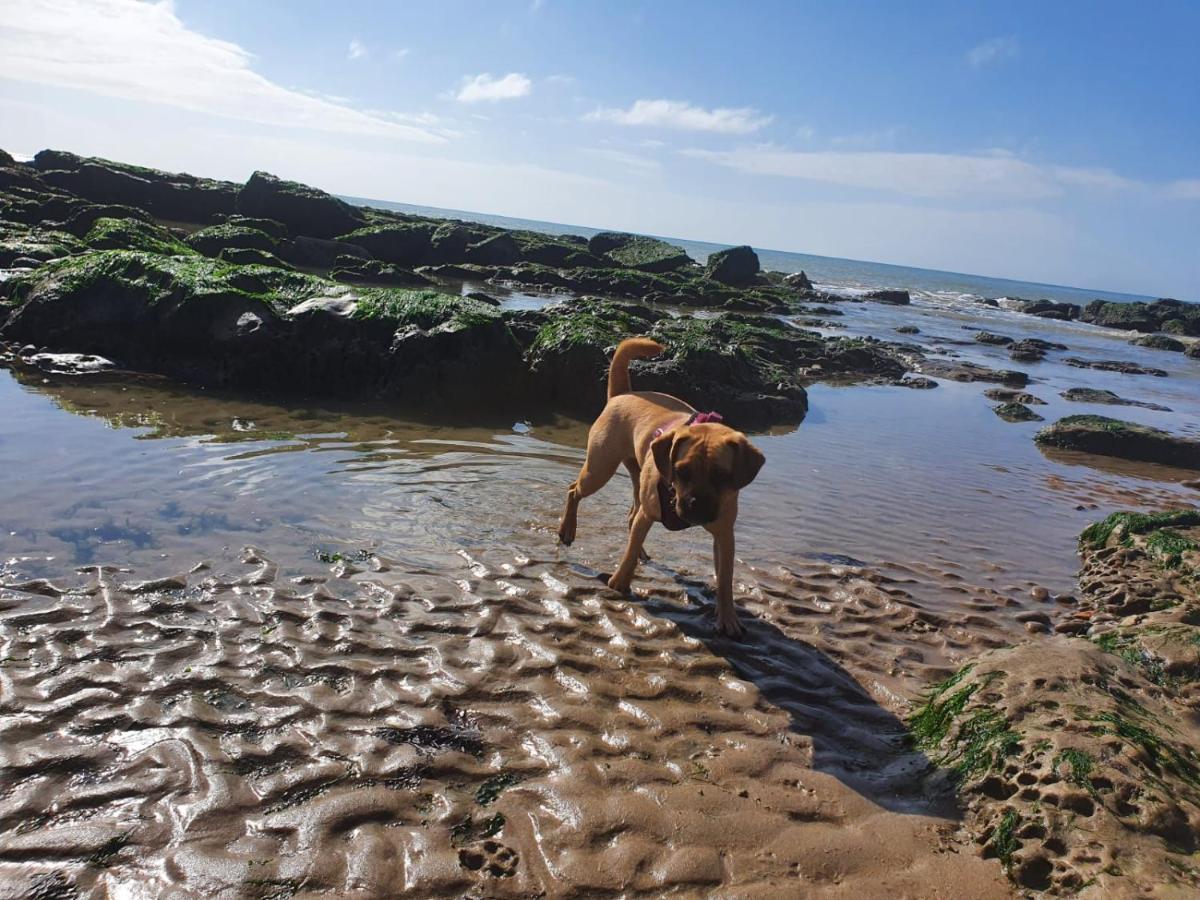 Beautiful Apartment 2 Mins To The Beach St Leonards-on-Sea 외부 사진